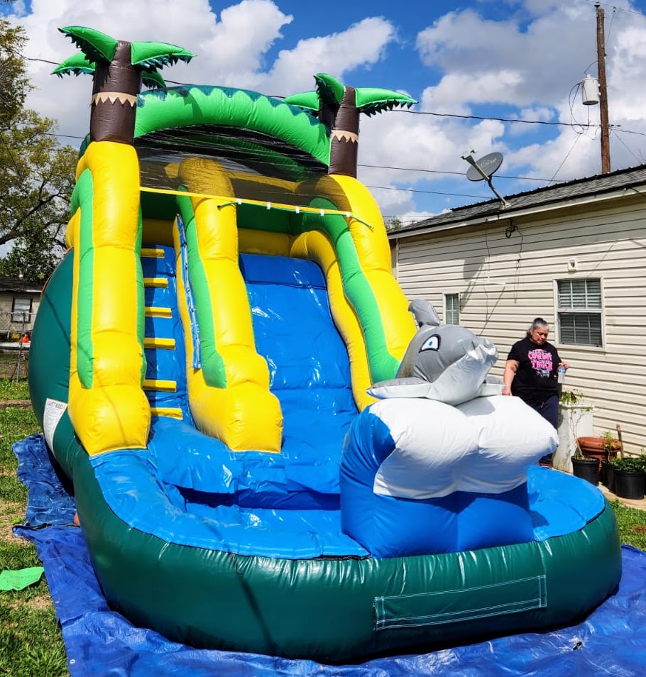 Water slide moonwalk with a dolphine and palm trees